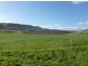 250 COVE HILL ROAD, Honeywood TAS 7017