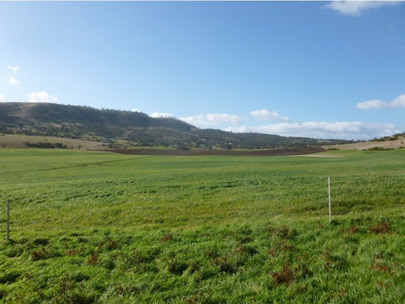 250 COVE HILL ROAD, Honeywood TAS 7017