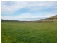 250 COVE HILL ROAD, Honeywood TAS 7017