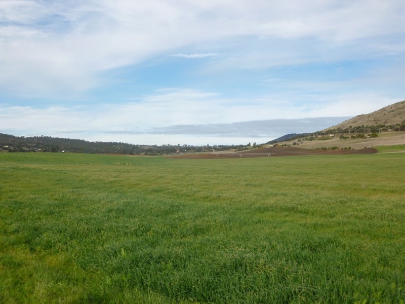 250 COVE HILL ROAD, Honeywood TAS 7017