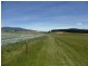 250 COVE HILL ROAD, Honeywood TAS 7017