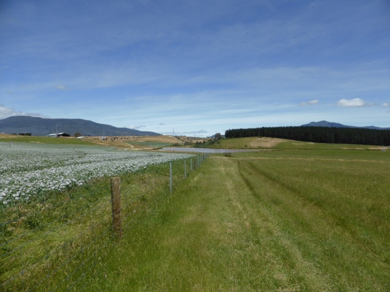 250 COVE HILL ROAD, Honeywood TAS 7017