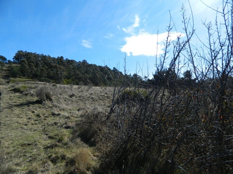 551 RHYNDASTON ROAD, Rhyndaston TAS 7120