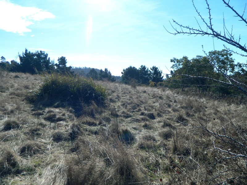 551 RHYNDASTON ROAD, Rhyndaston TAS 7120