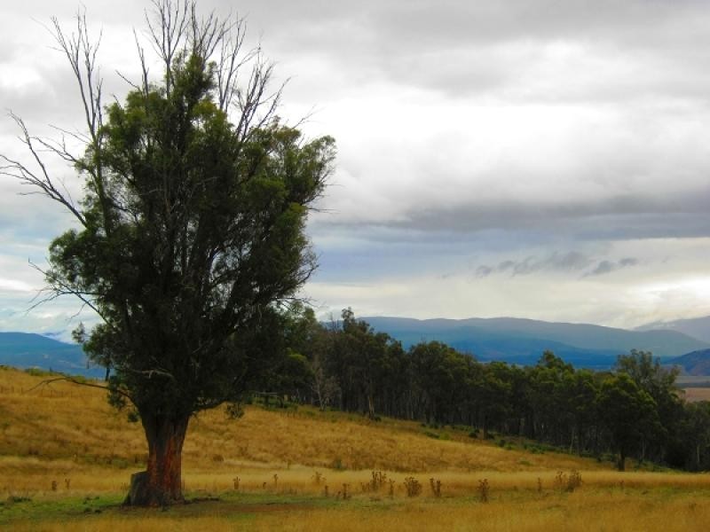 56 Parsons Road, Gretna TAS 7140