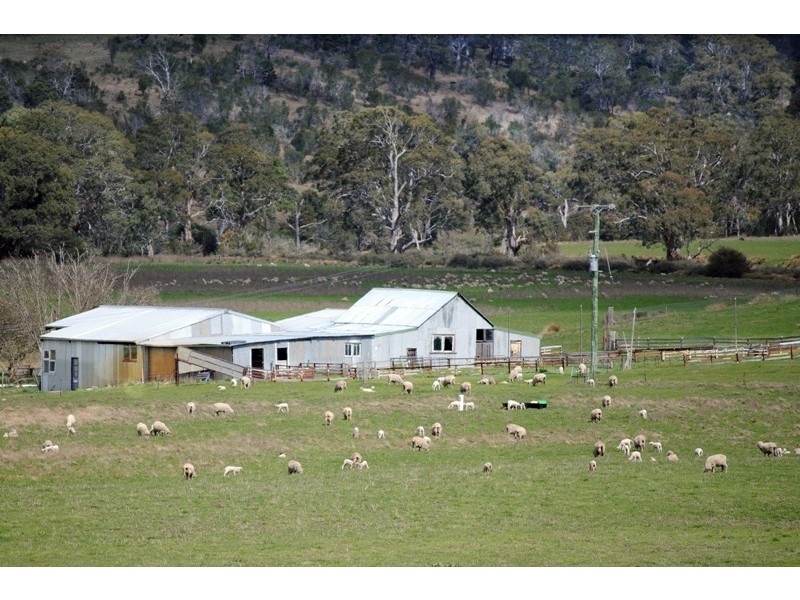 125 Buckland Road, Buckland TAS 7190
