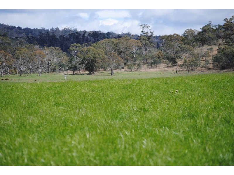 125 Buckland Road, Buckland TAS 7190