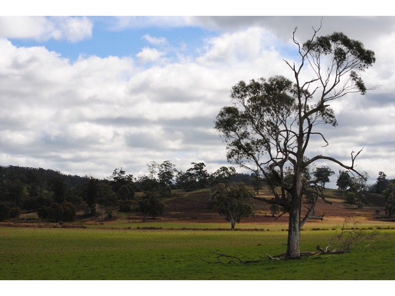 125 Buckland Road, Buckland TAS 7190