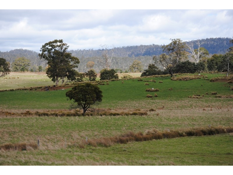 125 Buckland Road, Buckland TAS 7190