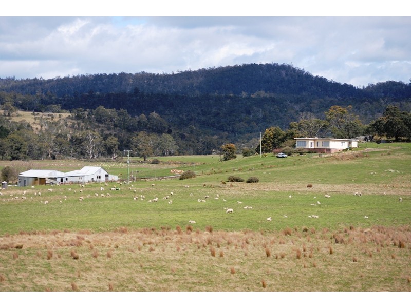 125 Buckland Road, Buckland TAS 7190