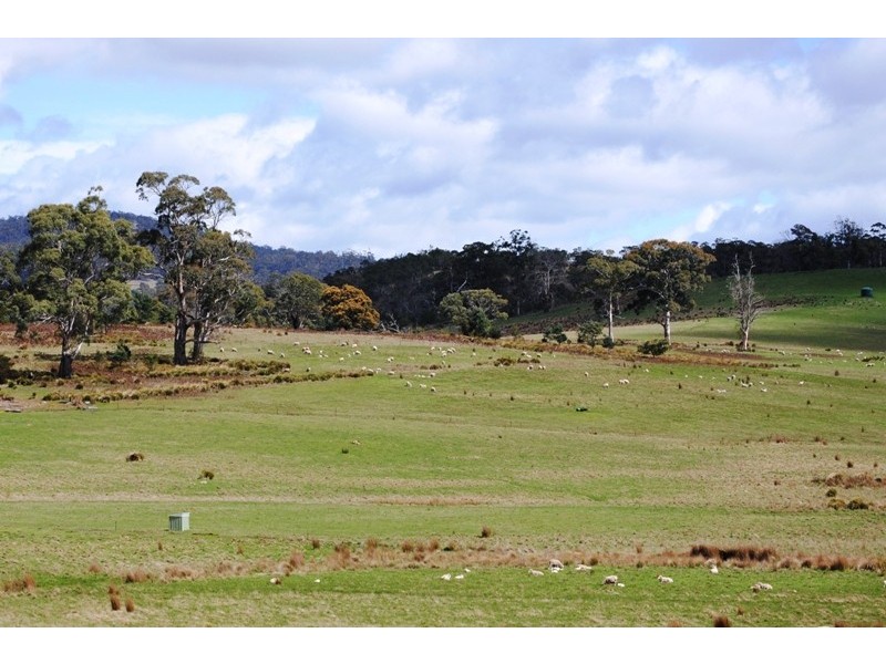 125 Buckland Road, Buckland TAS 7190