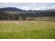 125 Buckland Road, Buckland TAS 7190
