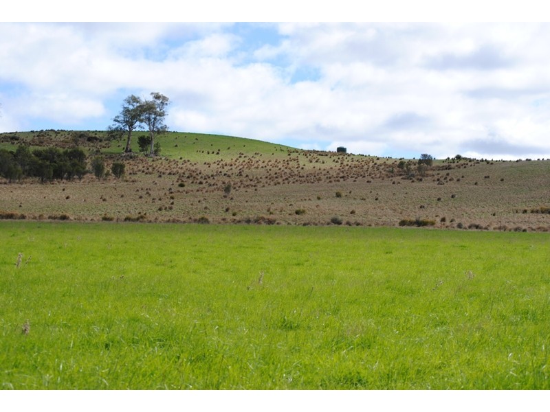 125 Buckland Road, Buckland TAS 7190