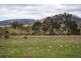 125 Buckland Road, Buckland TAS 7190