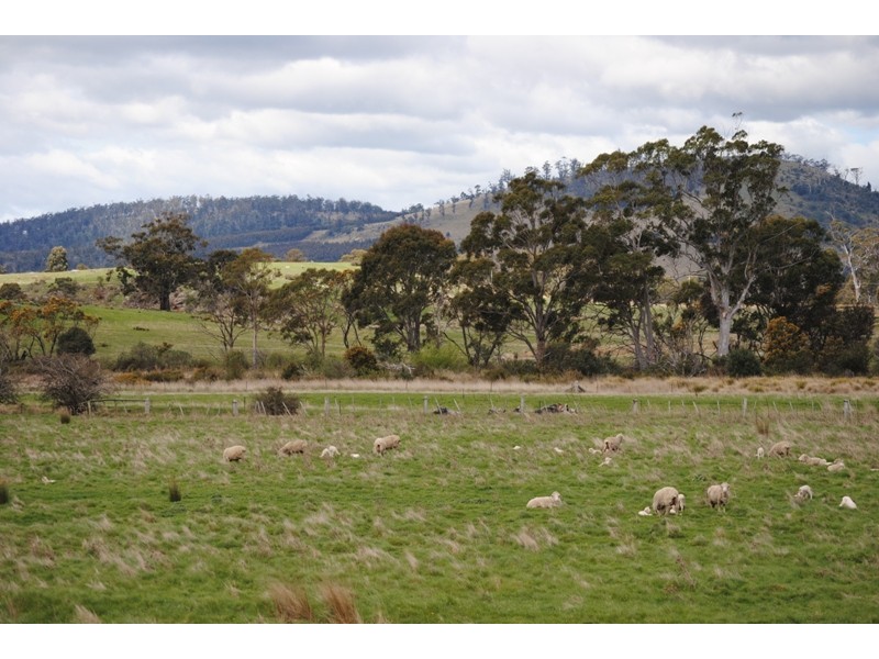 125 Buckland Road, Buckland TAS 7190