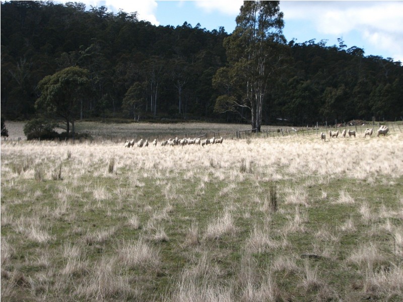 OO New Country Marsh Rd, Woodsdale TAS 7120