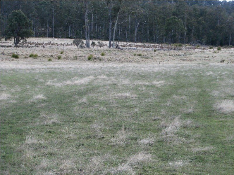 OO New Country Marsh Rd, Woodsdale TAS 7120