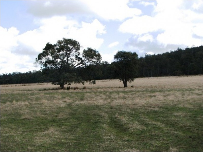 OO New Country Marsh Rd, Woodsdale TAS 7120