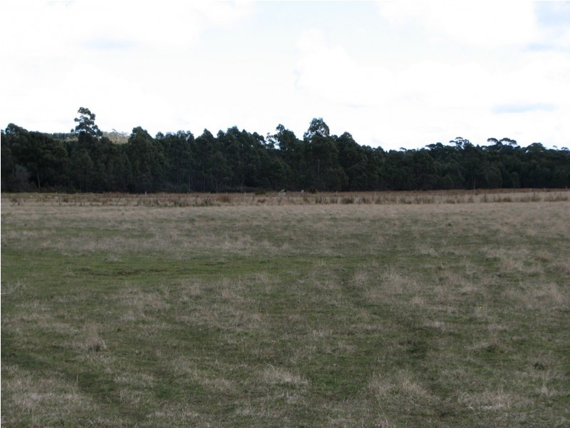 OO New Country Marsh Rd, Woodsdale TAS 7120