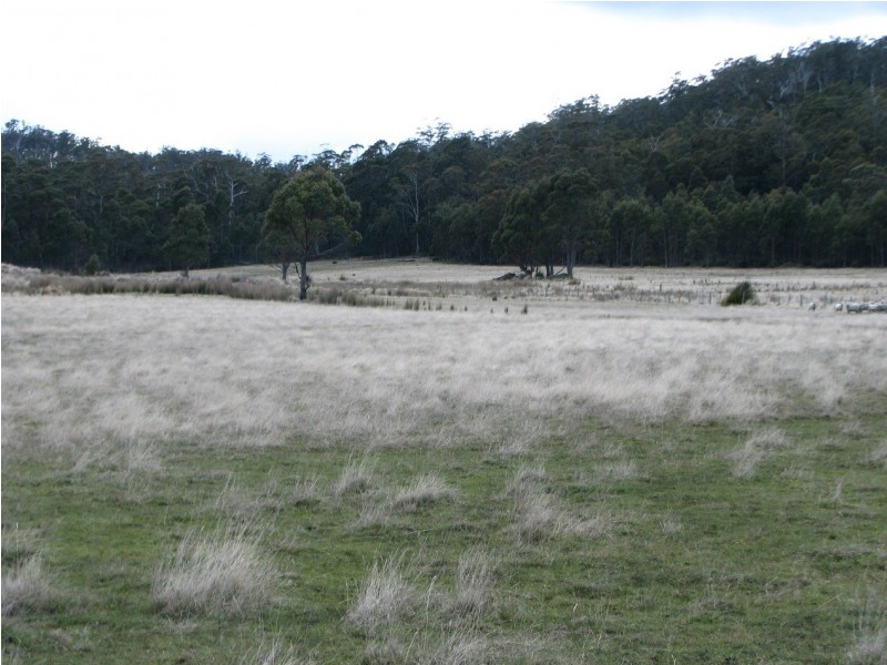 OO New Country Marsh Rd, Woodsdale TAS 7120