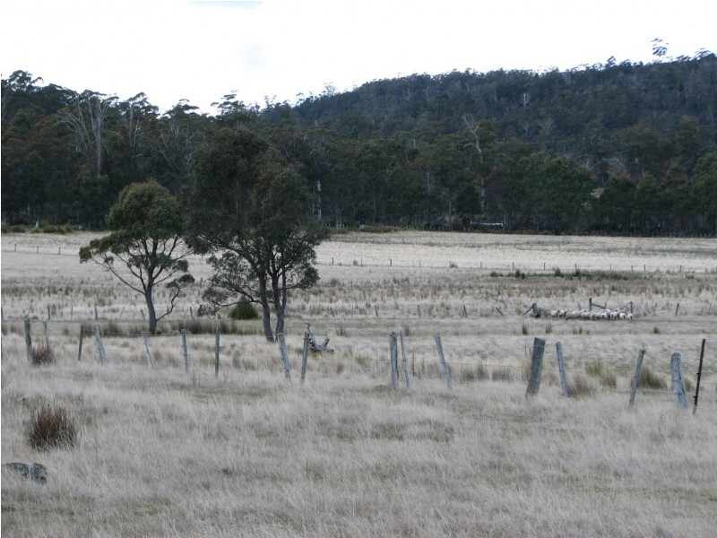 OO New Country Marsh Rd, Woodsdale TAS 7120