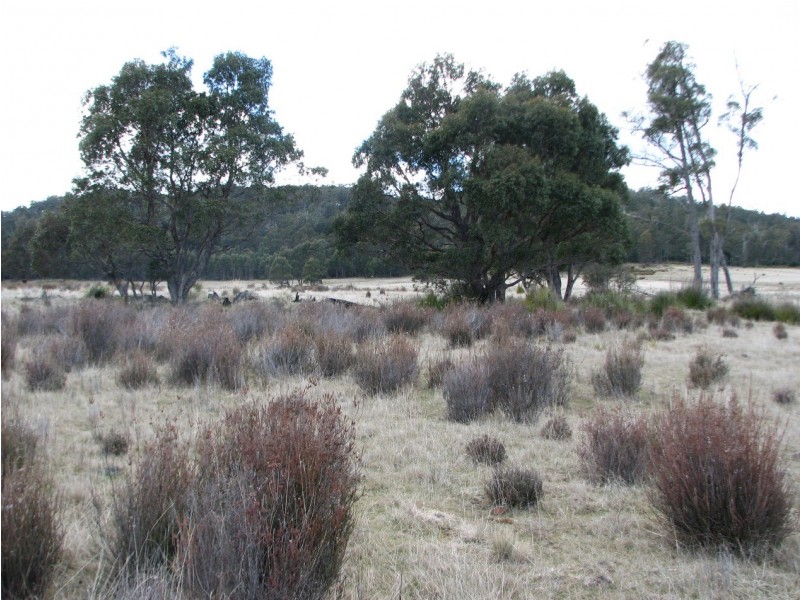 OO New Country Marsh Rd, Woodsdale TAS 7120