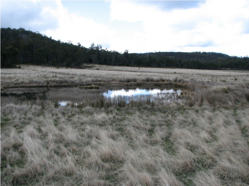 OO New Country Marsh Rd, Woodsdale TAS 7120