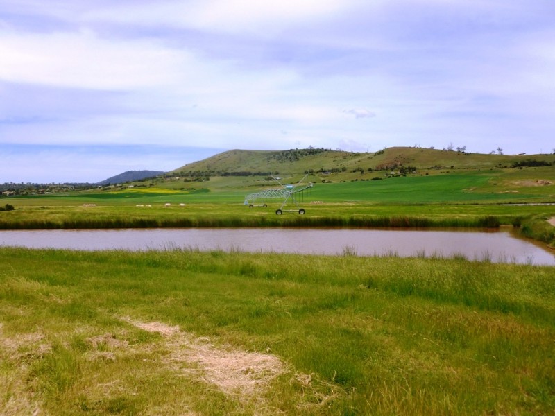 250 COVE HILL ROAD, Honeywood TAS 7017