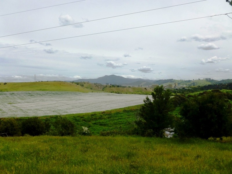 250 COVE HILL ROAD, Honeywood TAS 7017