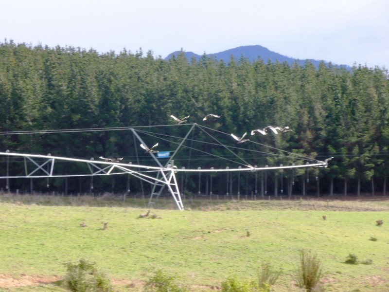 250 COVE HILL ROAD, Honeywood TAS 7017