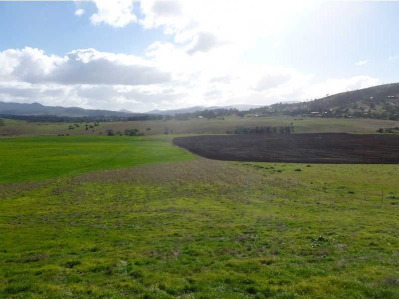 250 COVE HILL ROAD, Honeywood TAS 7017