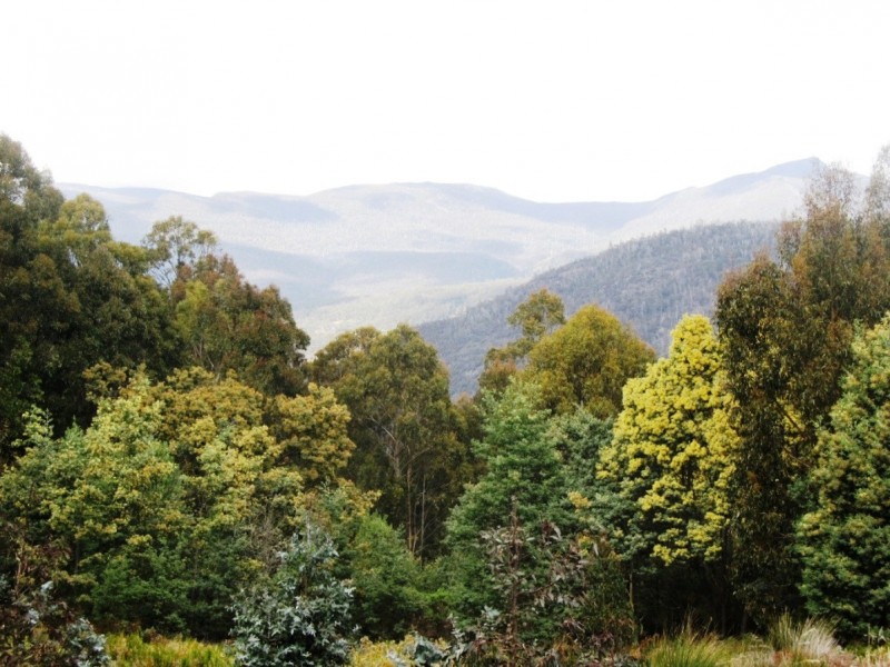 130 Wagners Road, Molesworth TAS 7140