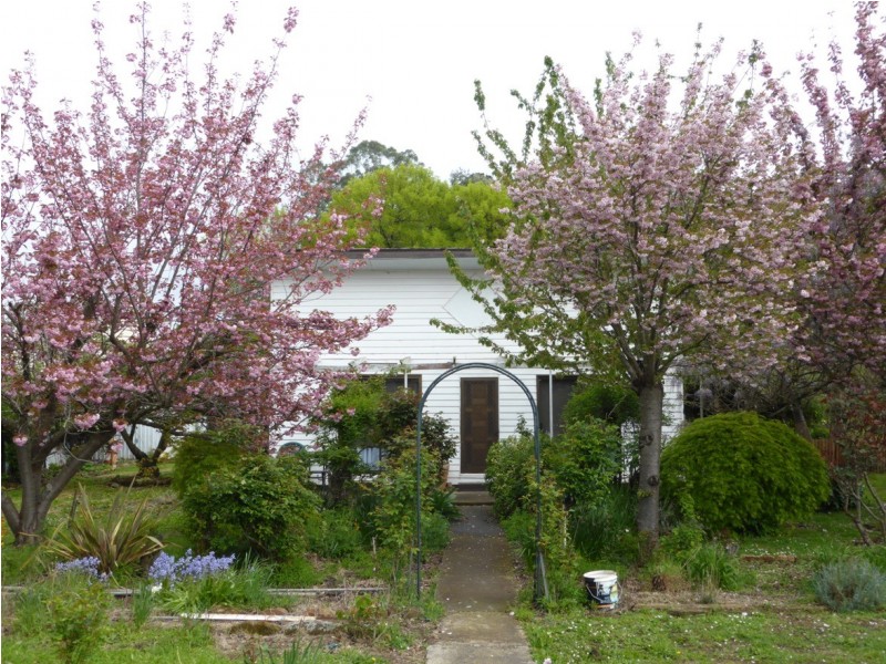 1701 Glenora Rd, Bushy Park TAS 7140