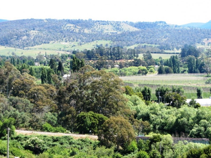 1701 Glenora Rd, Bushy Park TAS 7140