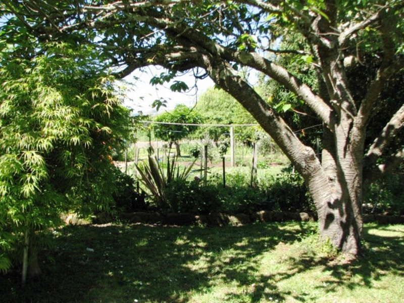 1701 Glenora Rd, Bushy Park TAS 7140