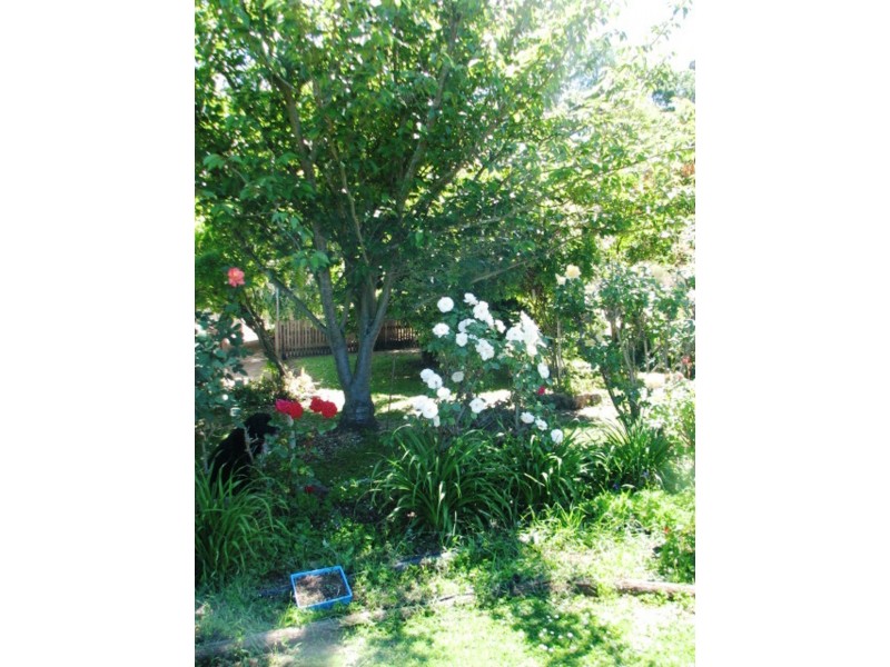 1701 Glenora Rd, Bushy Park TAS 7140