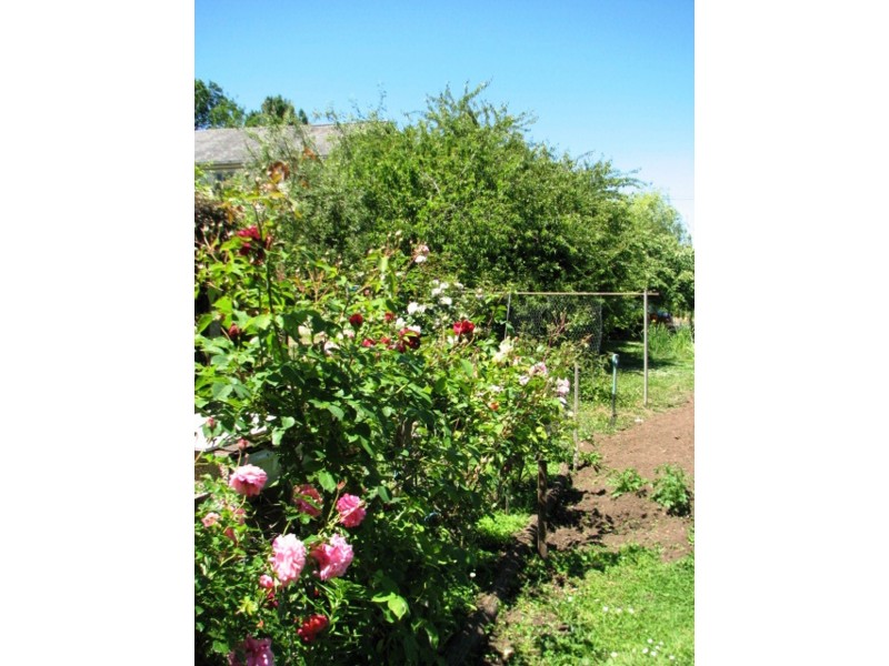 1701 Glenora Rd, Bushy Park TAS 7140