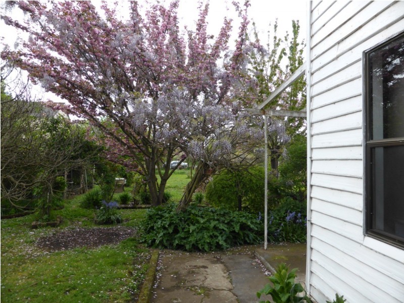 1701 Glenora Rd, Bushy Park TAS 7140