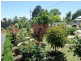 67 Main Street, Kempton TAS 7030