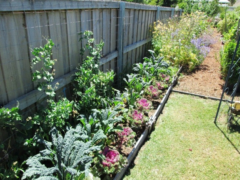 67 Main Street, Kempton TAS 7030