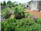 67 Main Street, Kempton TAS 7030