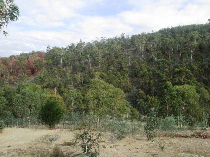39 Tongatabu Road, Dromedary TAS 7030