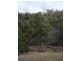 39 Tongatabu Road, Dromedary TAS 7030