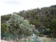 39 Tongatabu Road, Dromedary TAS 7030