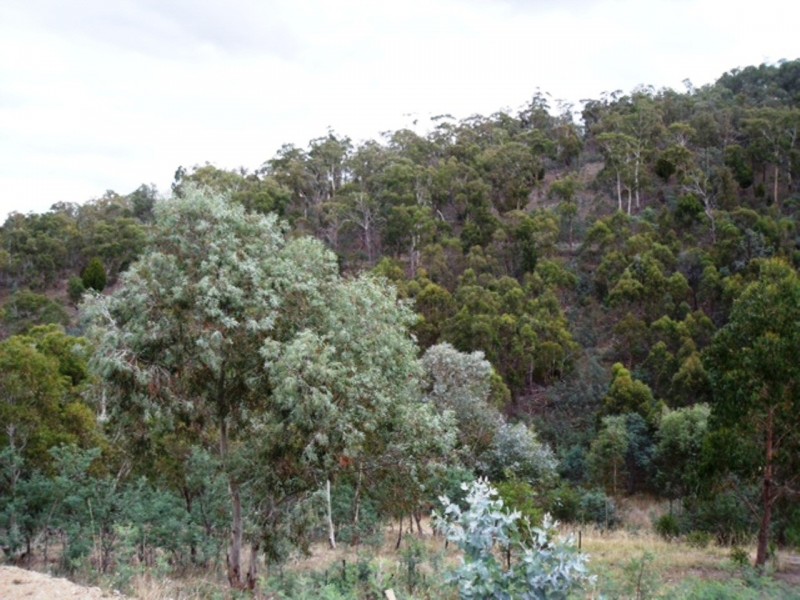 39 Tongatabu Road, Dromedary TAS 7030