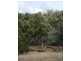 39 Tongatabu Road, Dromedary TAS 7030