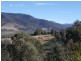 39 Tongatabu Road, Dromedary TAS 7030
