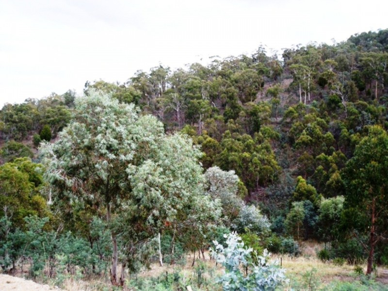 39 Tongatabu Road, Dromedary TAS 7030