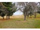 289 Rotherwood Road, Lower Marshes TAS 7030