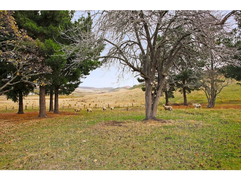 289 Rotherwood Road, Lower Marshes TAS 7030